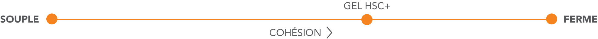 Échelle de cohésion