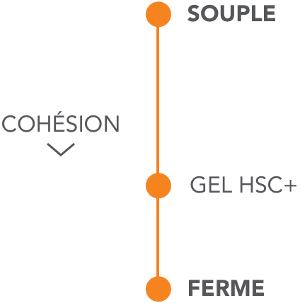 Échelle de cohésion